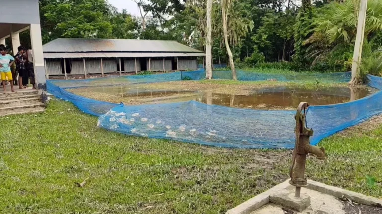 মাদ্রাসার মাঠে ধানের বীজ বপন, অভিযুক্ত জামায়াত নেতা